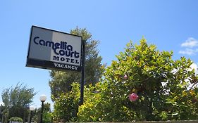 Camellia Court Family Motel Taupo